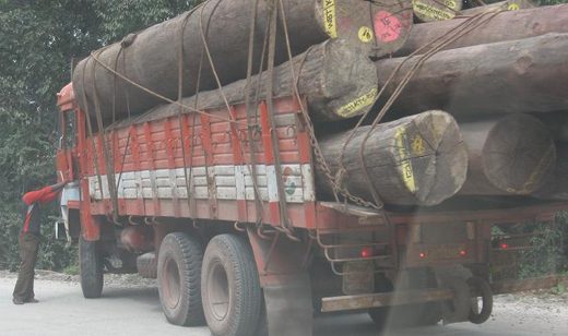 Mangaluru authorites to ban heavy goods vehicles 